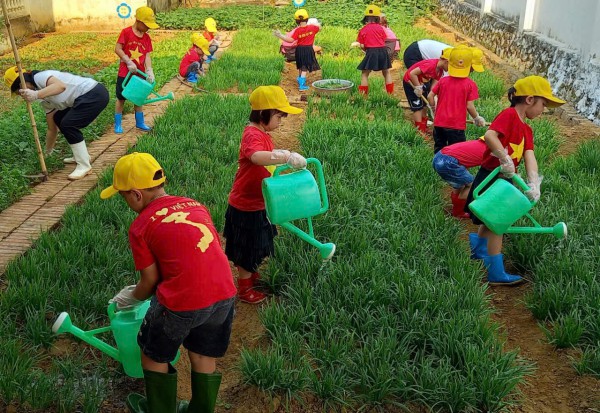Hoạt động trải nghiệm chăm sóc vườn rau của bé