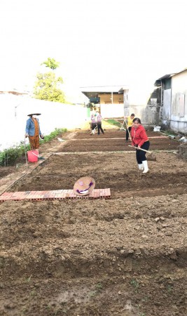 Thiết kế vườn rau dinh dưỡng