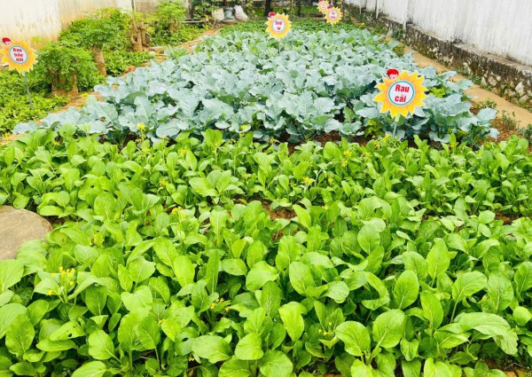 CÔNG TÁC BÁN TRÚ