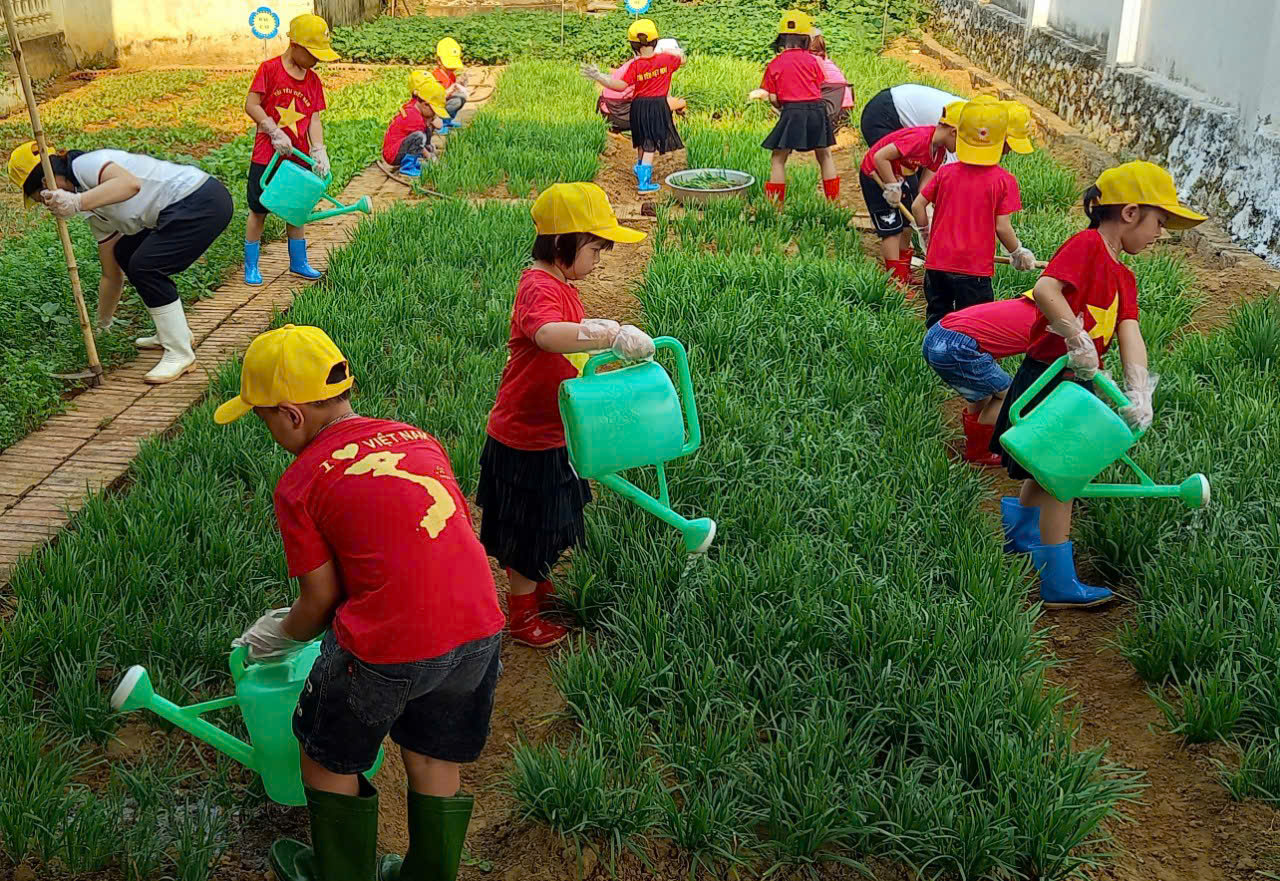 Hoạt động trải nghiệm chăm sóc vườn rau của bé