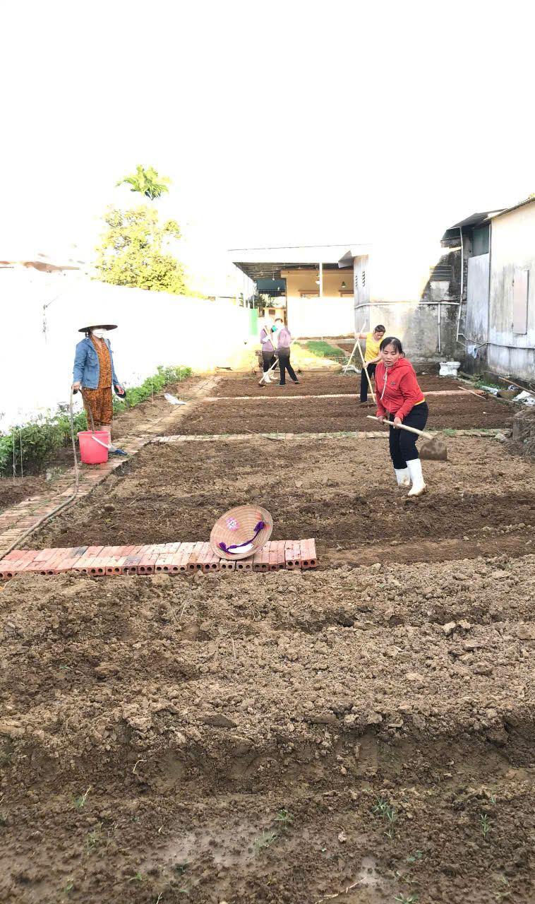 Thiết kế vườn rau dinh dưỡng