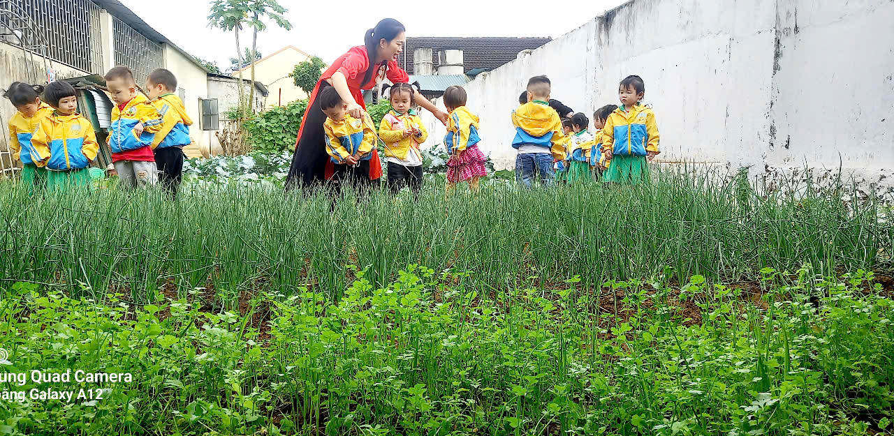 nhóm trẻ tham quan vườn rau 3