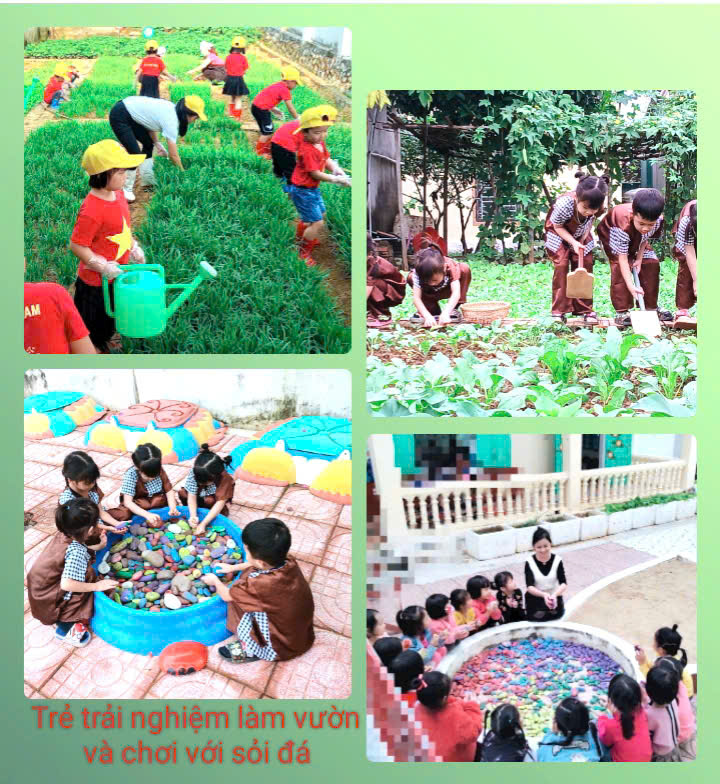 Trải ngiệm làm vườn