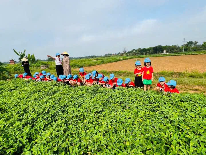 Trẻ ngồi xem cánh đồng lạc