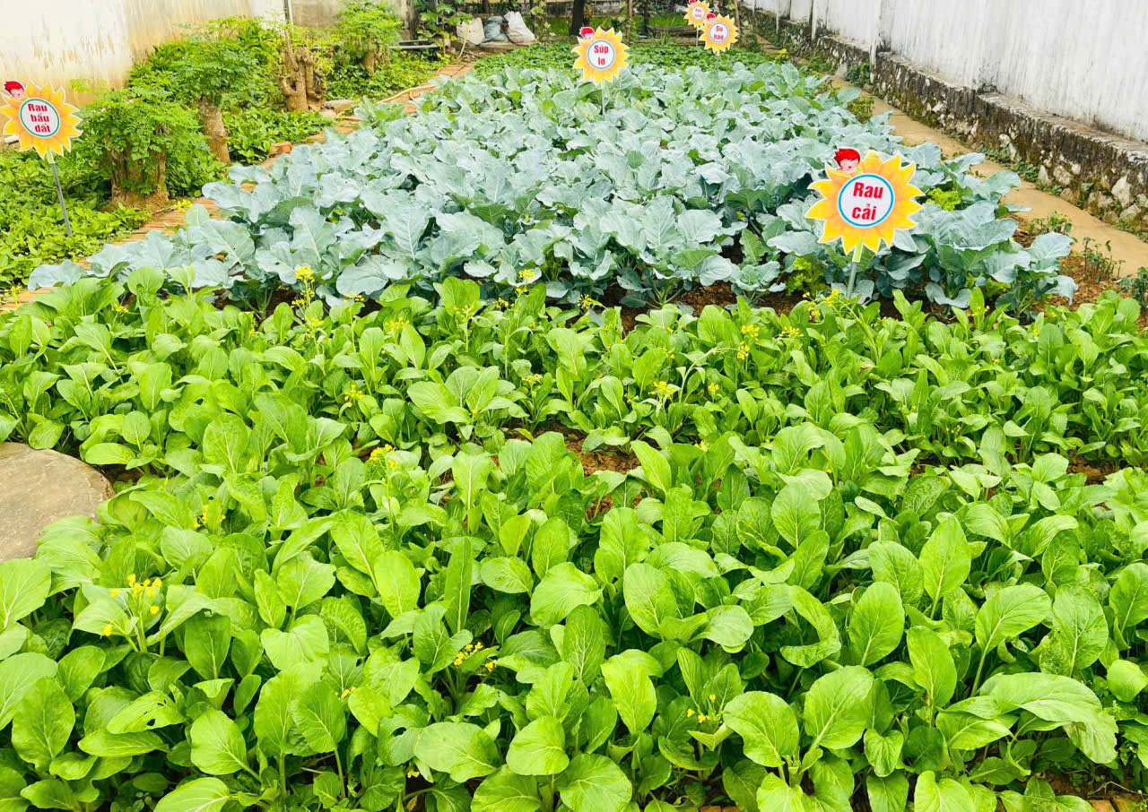 CÔNG TÁC BÁN TRÚ