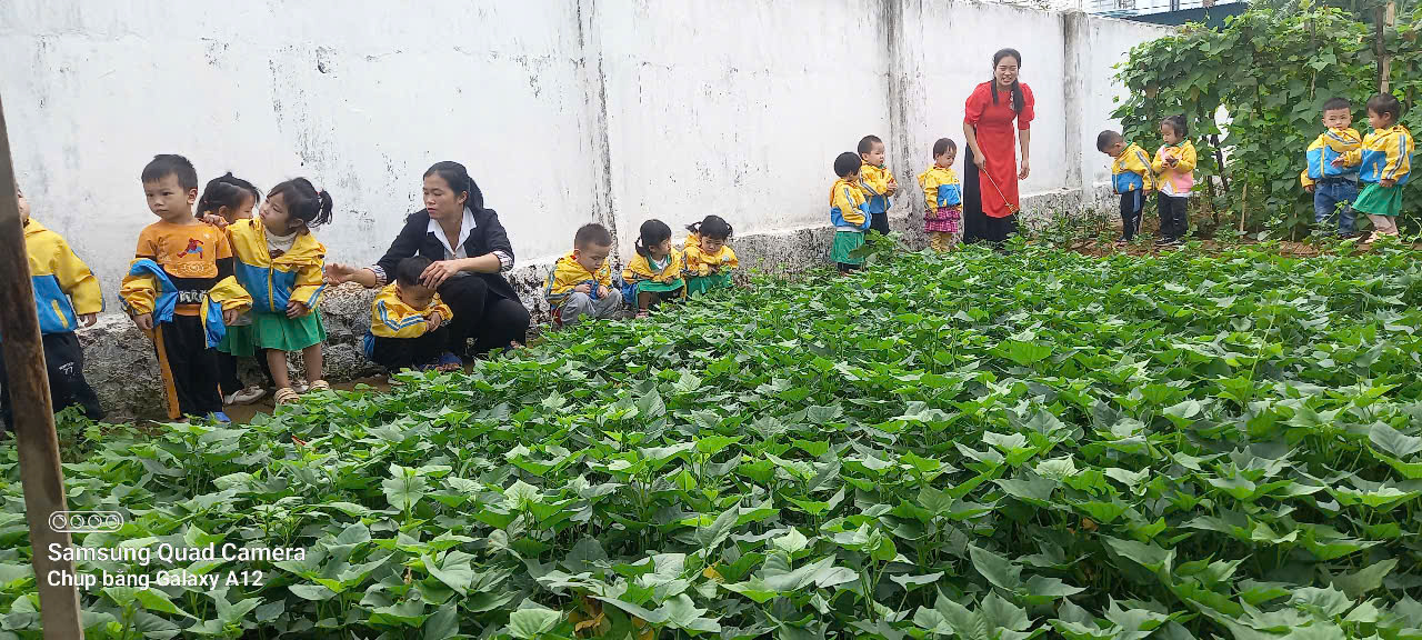 nhóm trẻ tham quan vườn rau