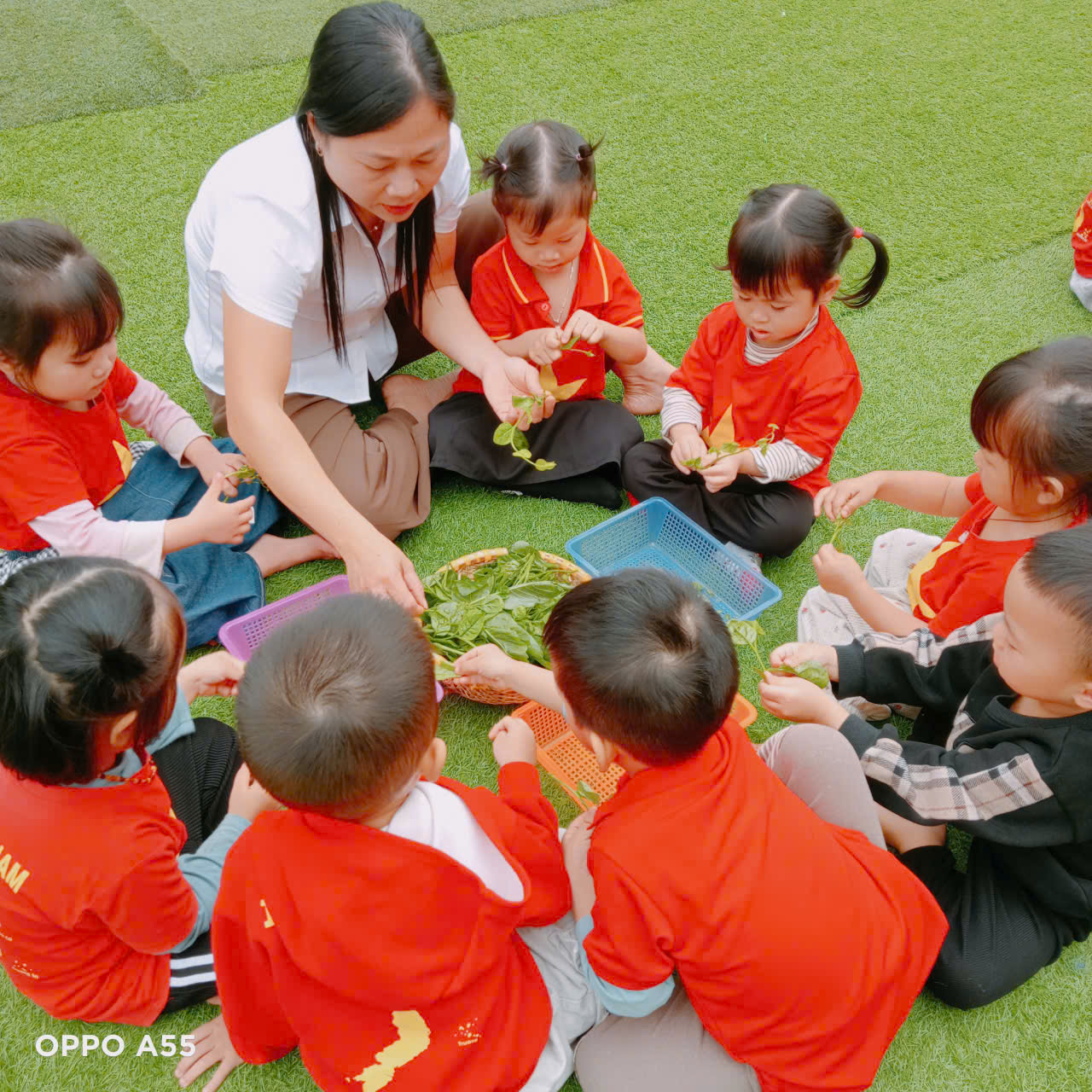 z7612304598953 4bec23b65c1627a4beb01c2c371c91d2